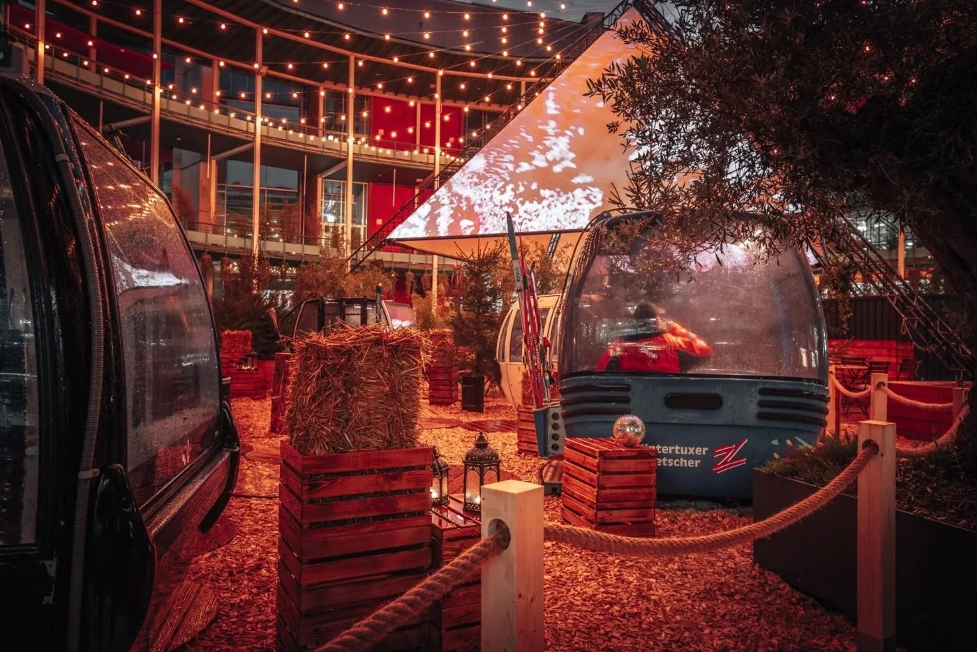 Bambusnest - Aerial View