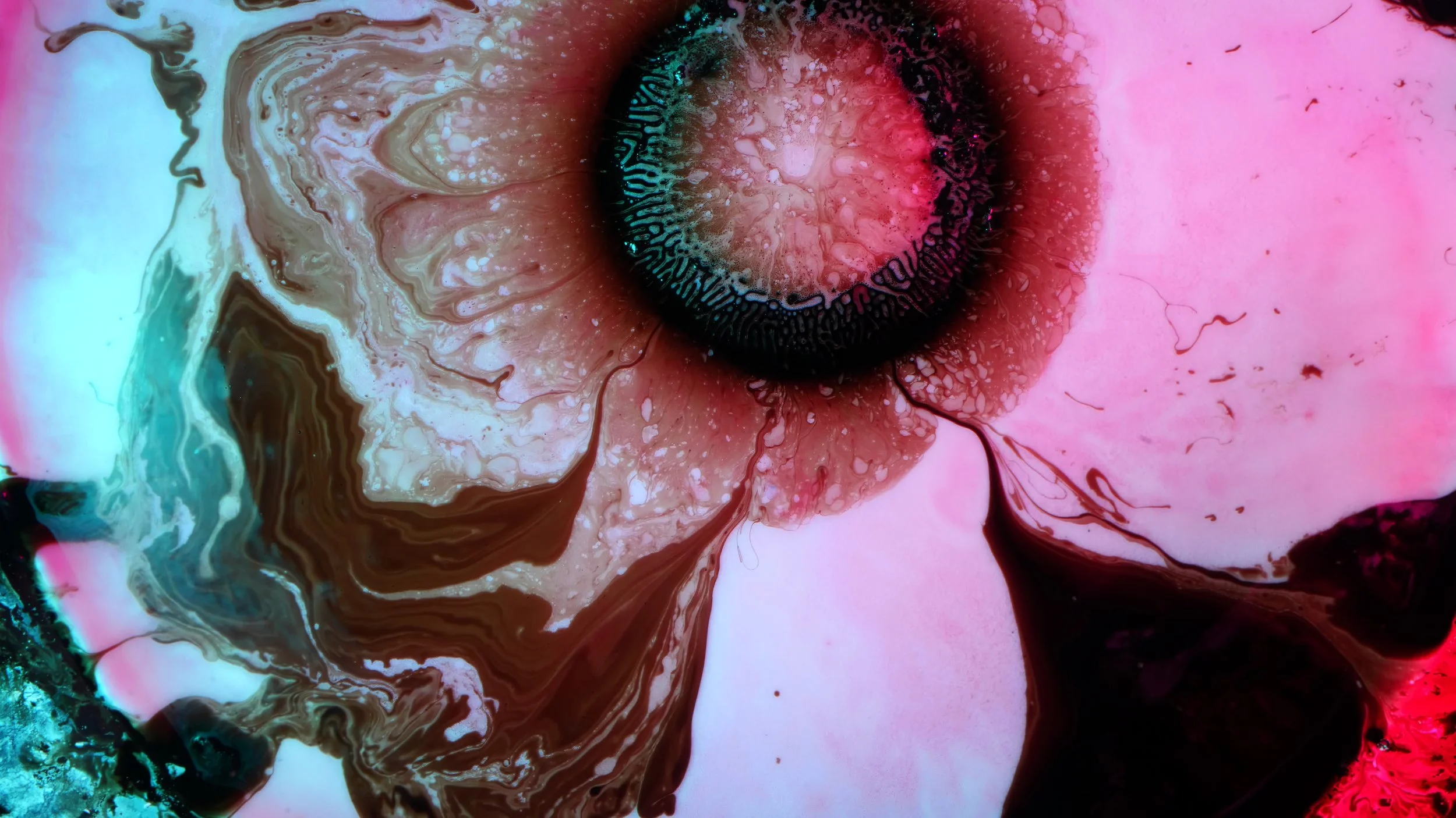 Fluid Vision - Installation Setup