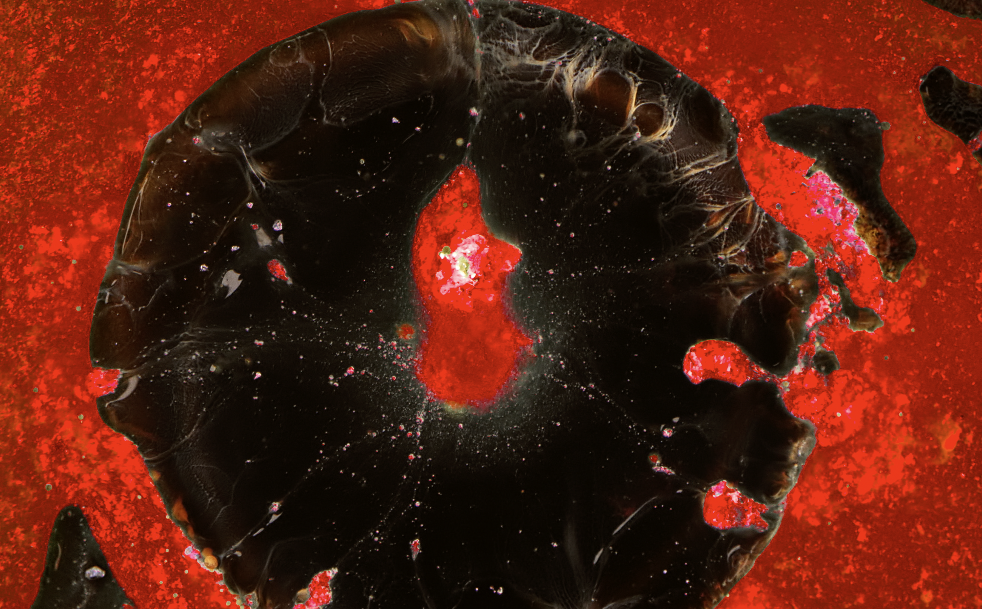 myfilm.ch - Abstract 2